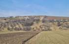 Teren extravilan 4000 mp. , Magiresti-Bacau - 1