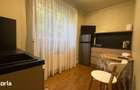 Apartament modern la vila cu gradina si teren 263mp aproape de centru - 9