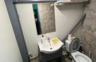 Spatiu comercial 280 mp + 700 mp curte, Filiasi - 12