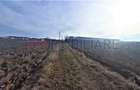 Teren Construcții de 28000 mp, în Odăi - 4