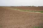 Teren arabil extravilan 10.000 mp (1 Ha) Umbrare?ti, Gala?i (Acte la zi) - 1
