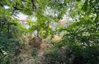 Casă individuală cu 3 camere cu Canalizare în Cantemir - 19