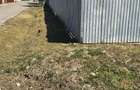 Vand teren intravilan in Traian sat, jud. Braila - 5