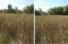 Teren Branceni, ID: R2942560 - 3