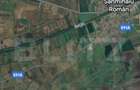 Teren extravilan agricol Sanmihaiu Roman, 60?600?m - 1