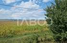 Teren agricol extravilan de 28000 mp, în Șura Mică - 2