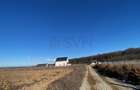 Teren Construcții intravilan de 8100 mp, în Ciolpani - 3