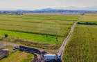 Teren Construcții intravilan de 450 mp, în Bod - 8