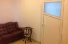 Apartament 3 camere , in Vila, demisol inalt, Zona Unirii - 3