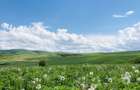 Teren agricol 12 ha parcelat | loturi 0,14-1 ha - 1