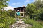 Casa 5 Camere cu fantana | Teren 1490 mp | Centrul Snagovului - 1