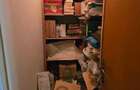 Apartament cu 4 camere decomandat în Aviatorilor - 9