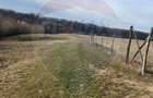 Teren 2925 mp comuna Mitocu Dragomirnei - 16