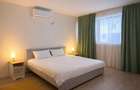 Inchiriere apartament Trio Residence, terasa superba - 4