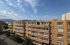 Apartament cu 3 camere semidecomandat în Craiter - 16