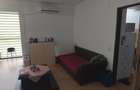 Apartament 1 camera -zona Iulius Mall - 4