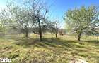 Teren cu dubla-deschidere, Paleu, 1000mp - 1
