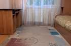 Apartament cu 3 camere decomandat în Nufărul - 8