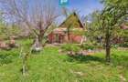 Casa Campani, 8000 mp teren, la poalele Apusenilor - 8
