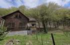 Cabana Iezer Ighiel panorama superba, liniste si potential de inve - 12