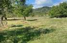 Teren intravilan Baia de fier - 4