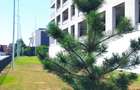 Apartament 2 camere si  LOC PARCARE inclus