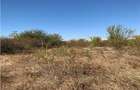 Vanzare  Loturi Teren Pipera - 2