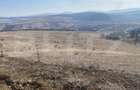 Teren extravilan in suprafata de 140551 mp in loc. Recea - 5