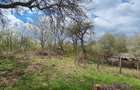 Proprietar, vand 2 case pe un picior de Plai, cu priveliste superba, teren 2600 mp, Provita de Sus, Prahova - 3