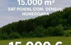 Teren si padure, 1,5 hectare, Poieni, Densus, Hunedoara - 1