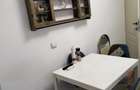 Apartament cu 2 camere decomandat în Giurgiului - 5