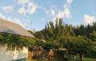 Vand teren intravilan cu casa 7400 mp in Sasca Mare, Suceava - 9