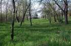 Teren intravilan 14000 mp + IZVOR puternic in jud. Cluj - 1