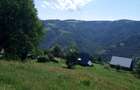 Vand teren 5619m2 la Munte in Maguri Cluj - 9