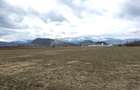 Teren de 2800 mp, în Turnu Roșu - 2
