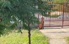 Casă cu 7 camere cu Teren 1336 Mp în Central - 16