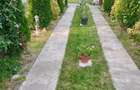 Vand casa in loc.livada - 6