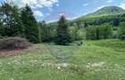 Teren de 8500 mp, în Dălghiu - 6