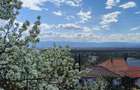 De vanzare casa in Sibiu cu 585 mp teren
