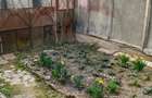 Apartament cu 2 camere in curte comuna - str. Ana Ipatescu - 11