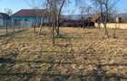 Vand teren pentru casa,intravilan - 3
