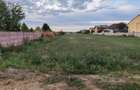 Teren 4.866 mp Clinceni, Caltuna | Acces la doua strazi