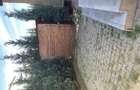 Apartament cochet cu gradina - 1