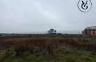 Teren 1000 mp Palazu Mare | Ideal investi?ie - Constanta (Constanta)