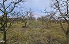 Teren extravilan 10,791mp Falticeni / Strada DJ209A, Opriseni