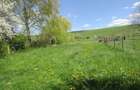 Teren Borosneu Mic, 3300mp - 5