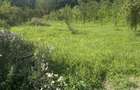 Telega - casa - teren 13000 mp/8000mp padure - 170000 Euro