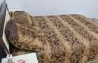 Apartament 2 camere decomandat de inchiriat - 6