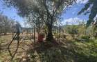 CASA + GOSPODARIE IN STALPENI ARGE? 46.000 - 8