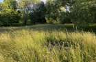 Vand teren 2000 mp intravilan zona Sohodol , Bran - 7